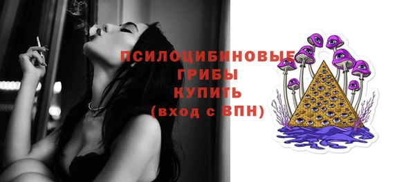 прущий лед Аркадак