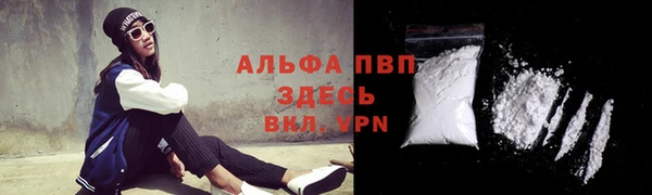 прущий лед Аркадак