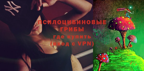 прущий лед Аркадак