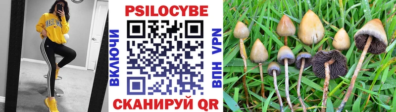 Псилоцибиновые грибы Psilocybe Бахчисарай
